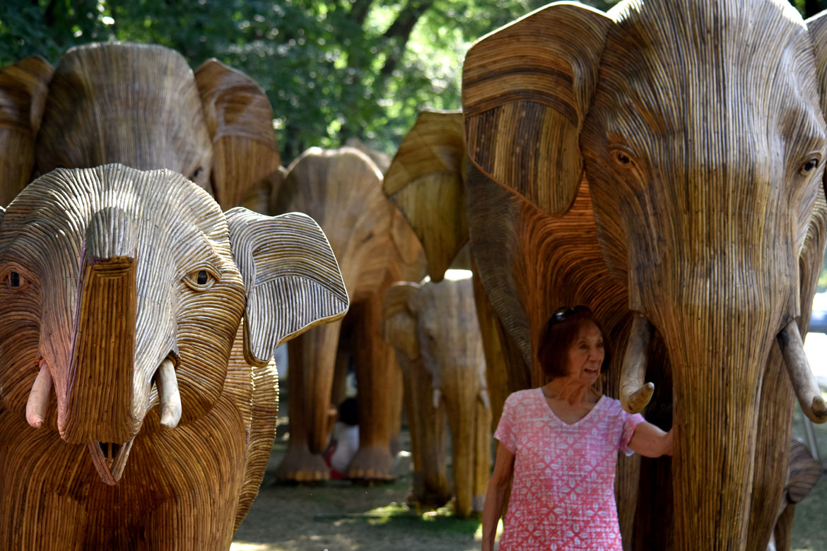 The "Great Elephant Migration" visits Boston’s Commonwealth Avenue Mall, Aug. 9, 2026. (©Greg Cook photo)