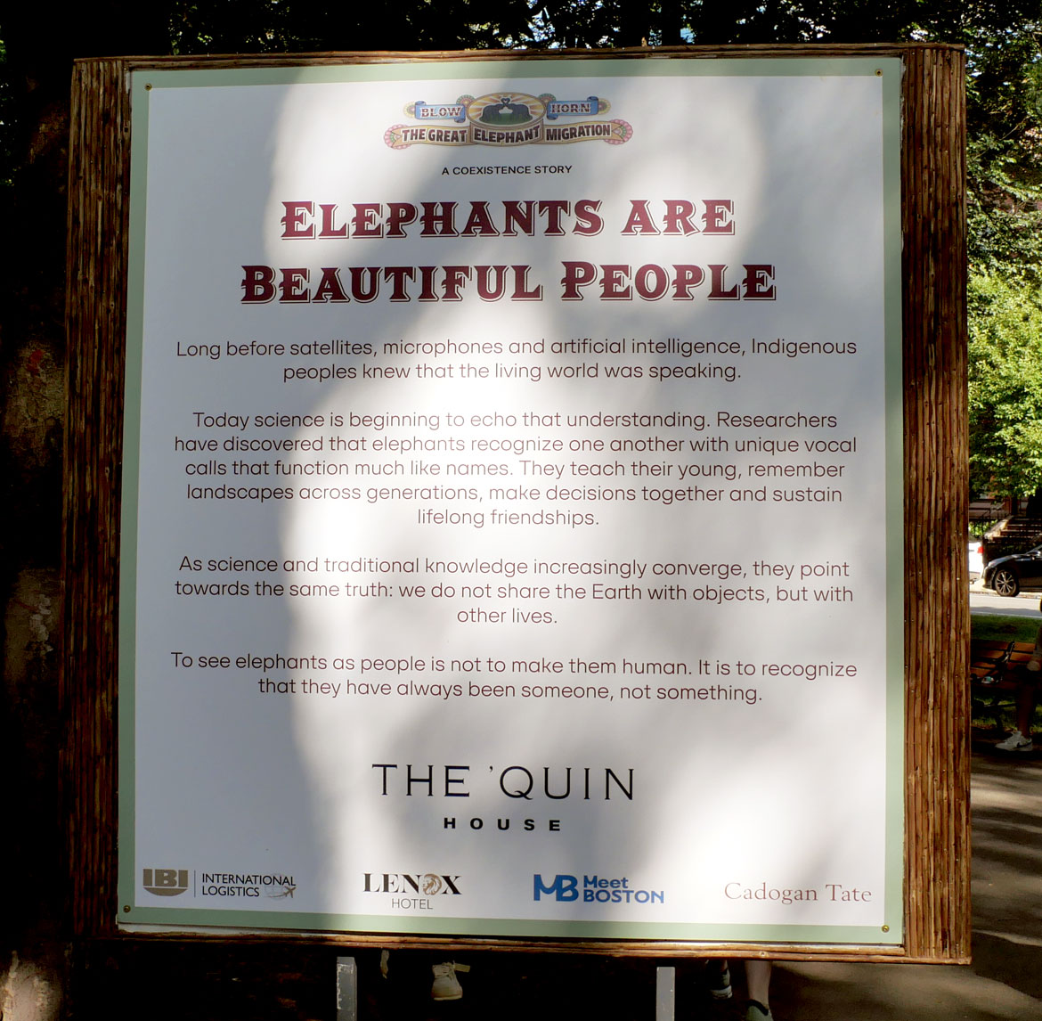 The "Great Elephant Migration" visits Boston’s Commonwealth Avenue Mall, Aug. 9, 2026. (©Greg Cook photo)