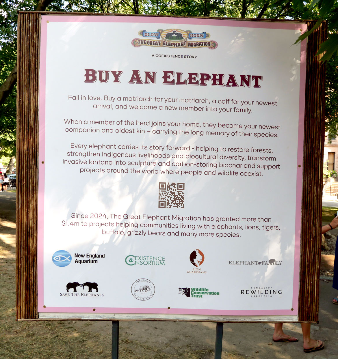 The "Great Elephant Migration" visits Boston’s Commonwealth Avenue Mall, Aug. 9, 2026. (©Greg Cook photo)