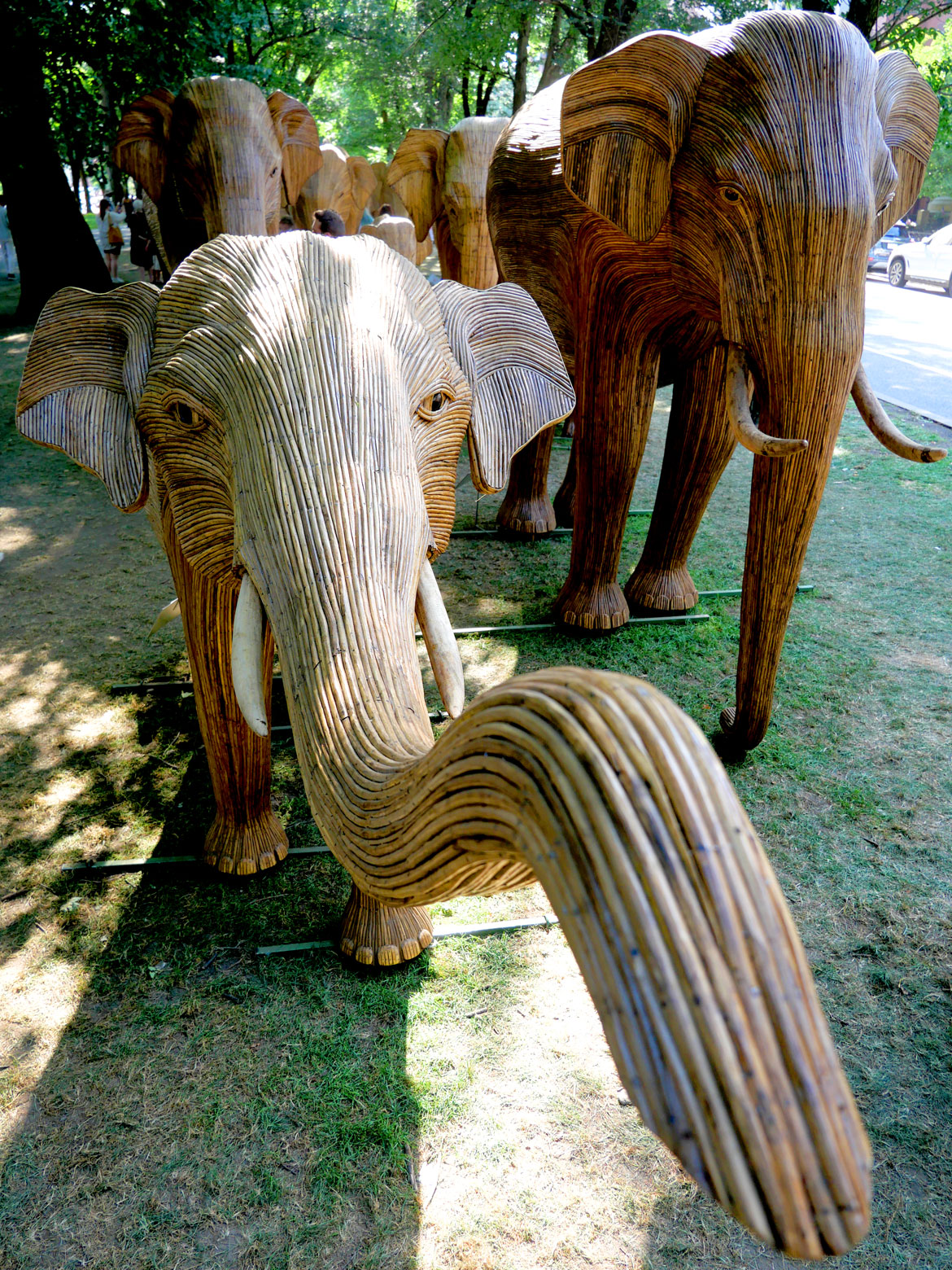 The "Great Elephant Migration" visits Boston’s Commonwealth Avenue Mall, Aug. 9, 2026. (©Greg Cook photo)