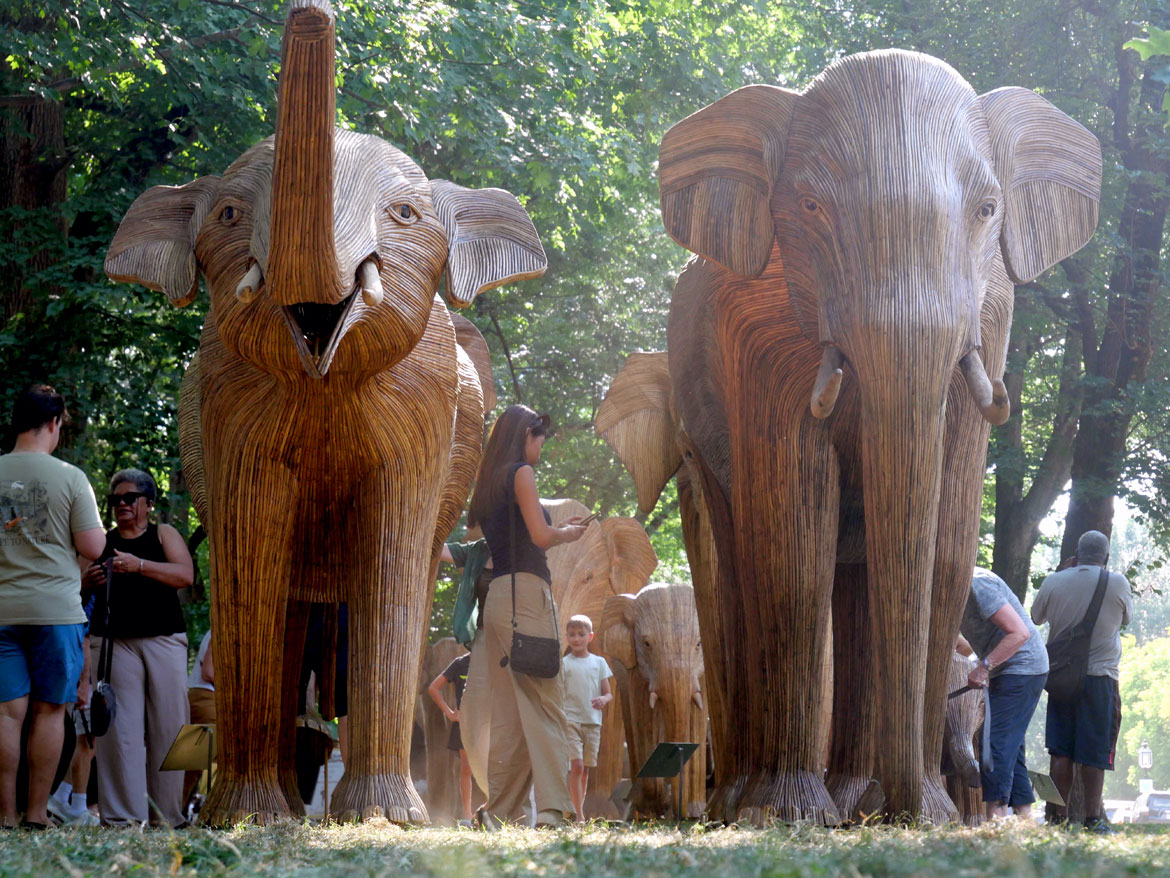 The "Great Elephant Migration" visits Boston’s Commonwealth Avenue Mall, Aug. 9, 2026. (©Greg Cook photo)