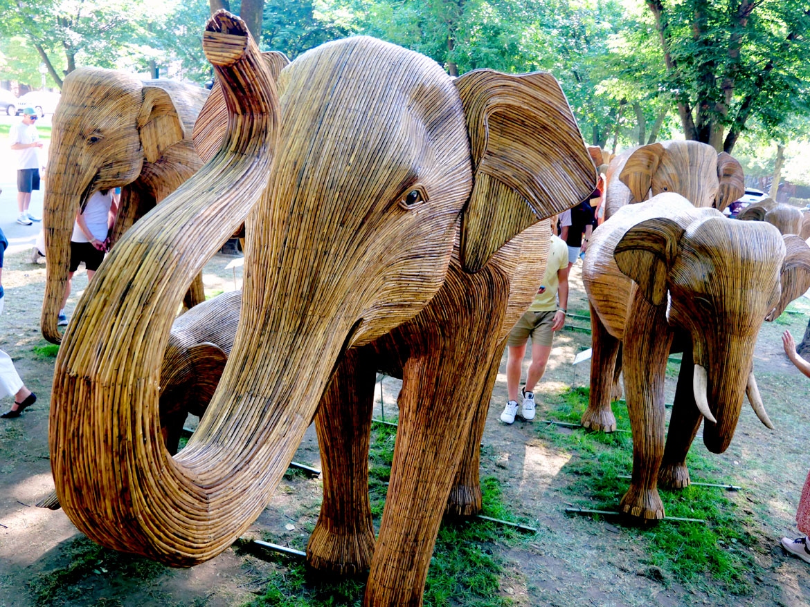 The "Great Elephant Migration" visits Boston’s Commonwealth Avenue Mall, Aug. 9, 2026. (©Greg Cook photo)