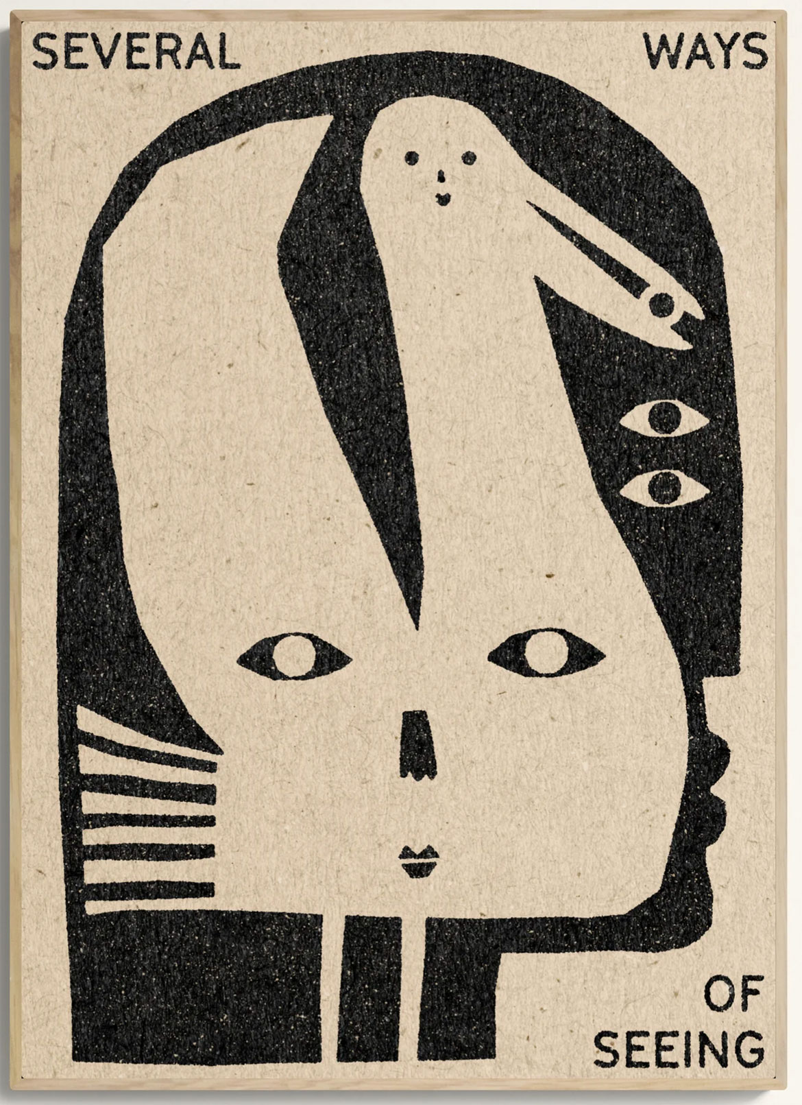 "Several Ways Of Seeing" by David 'Tuyo' Schmitt, 2026.