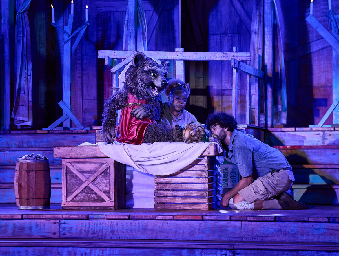 Rehearsal for St. Louis Shakespeare Festival's 2025 production of "Romeo & Zooliet" (Photo: Theo R. Welling)