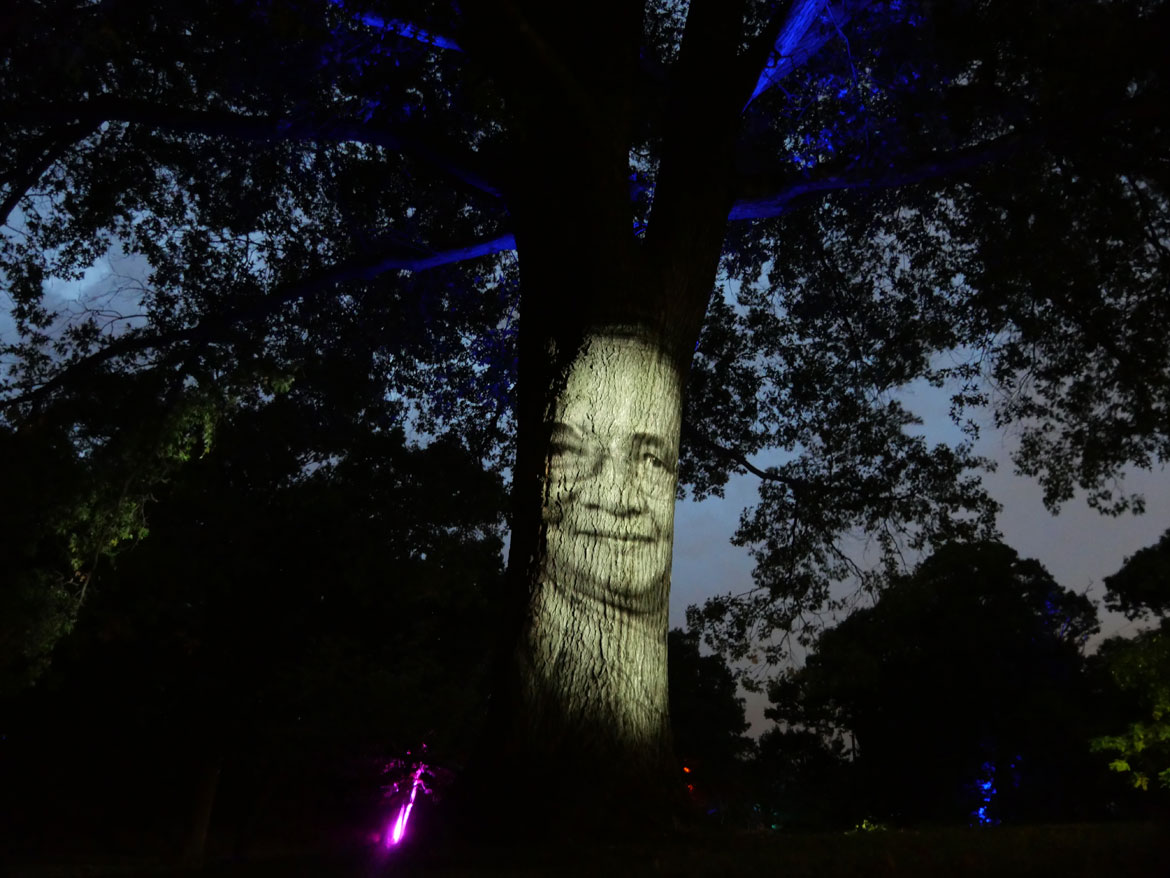 Ife Franklin's "Cabin in the Sky" at Boston's Franklin Park, Oct. 2, 2026. (©Greg Cook photo)